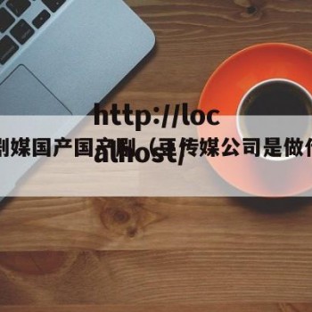 豆传剧媒国产国产剧（豆传媒公司是做什么的）